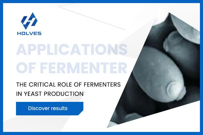 The critical role of fermenters in yeast production