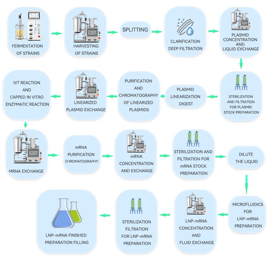 Process flow of the finished LNP-mRNA product