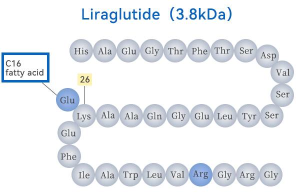 Liraglutide