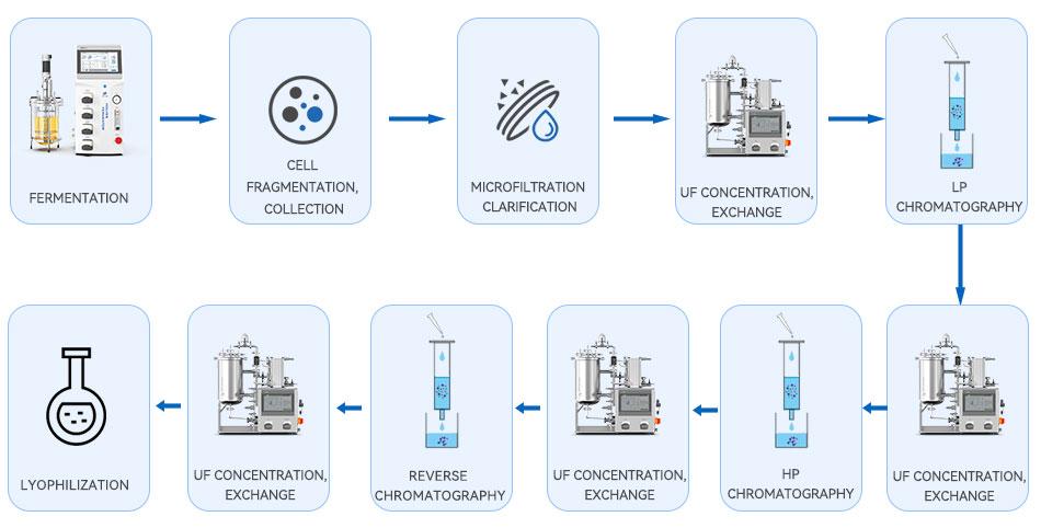 Downstream processes