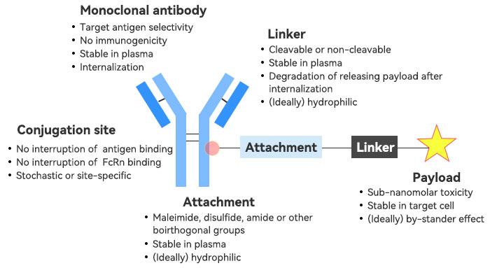 ADC Drug Basic Composition