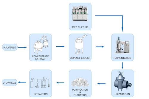 Biofermentation Extraction Flowchart