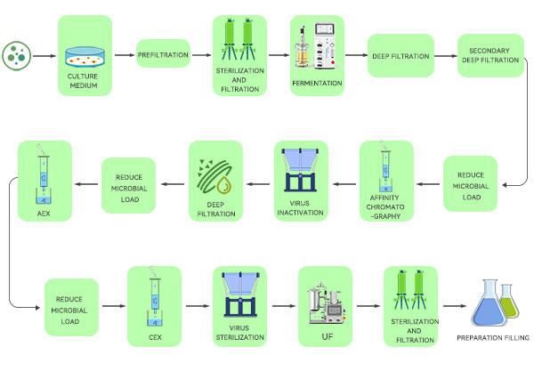 The control process